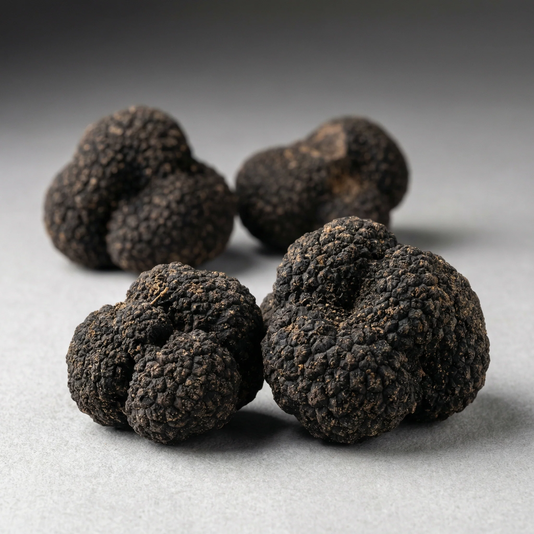 Black Winter Truffles - Image 4