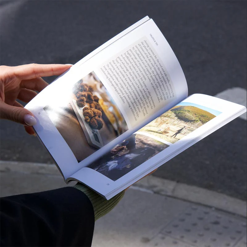 Truffle 101 Book - An Essential Guide - Image 3