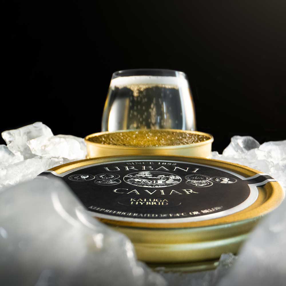 Kaluga Caviar - Image 3
